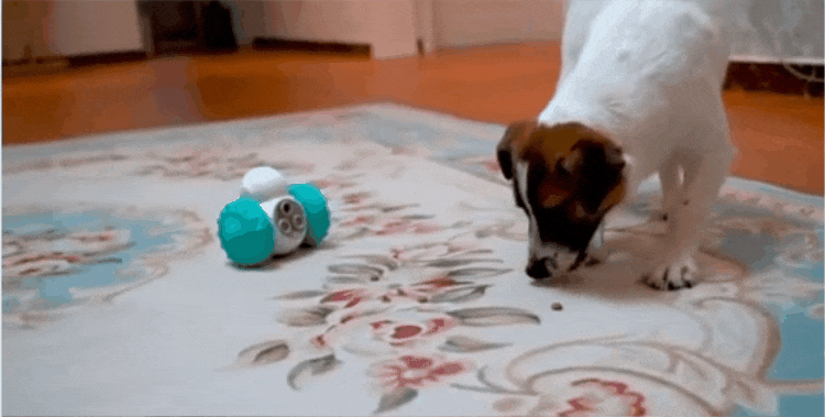 ROBOT DISPENSADOR DE ALIMENTO