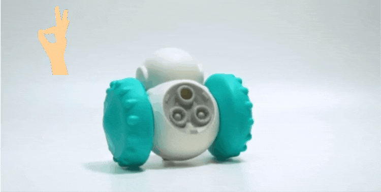 ROBOT DISPENSADOR DE ALIMENTO