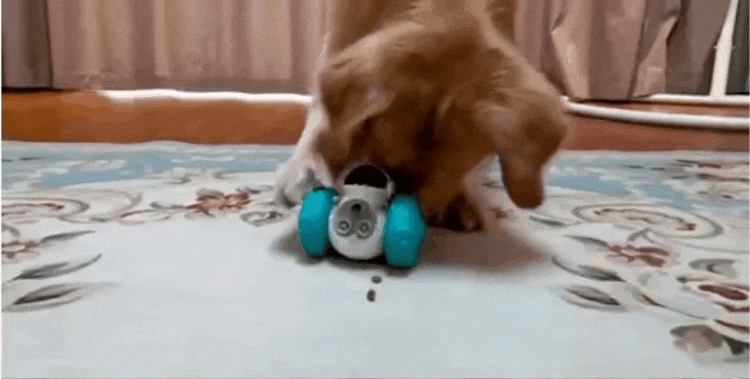 ROBOT DISPENSADOR DE ALIMENTO